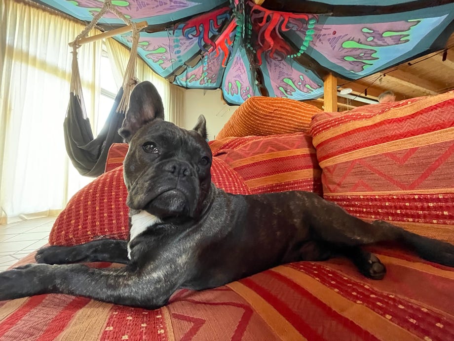 benny with artfreaks deko